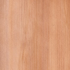 cedro-liuteria-cocopelli