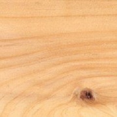 cipresso-liuteria-cocopelli