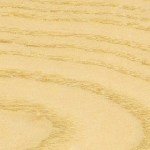 frassino-liuteria-cocopelli