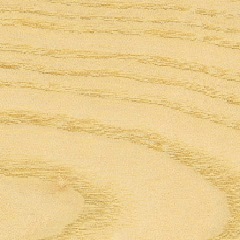 frassino-liuteria-cocopelli