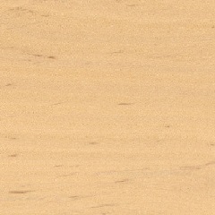 ontano-liuteria-cocopelli