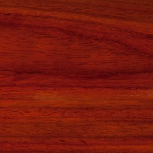 padouk-liuteria-cocopelli