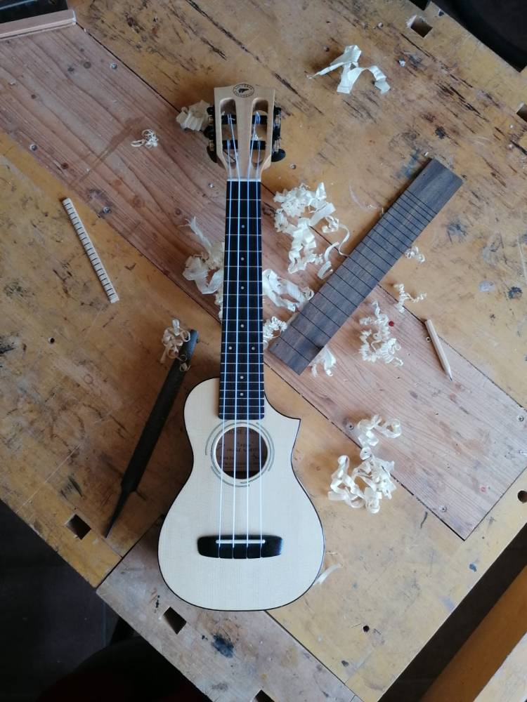 Draco-concert-Uke-vista-frontale