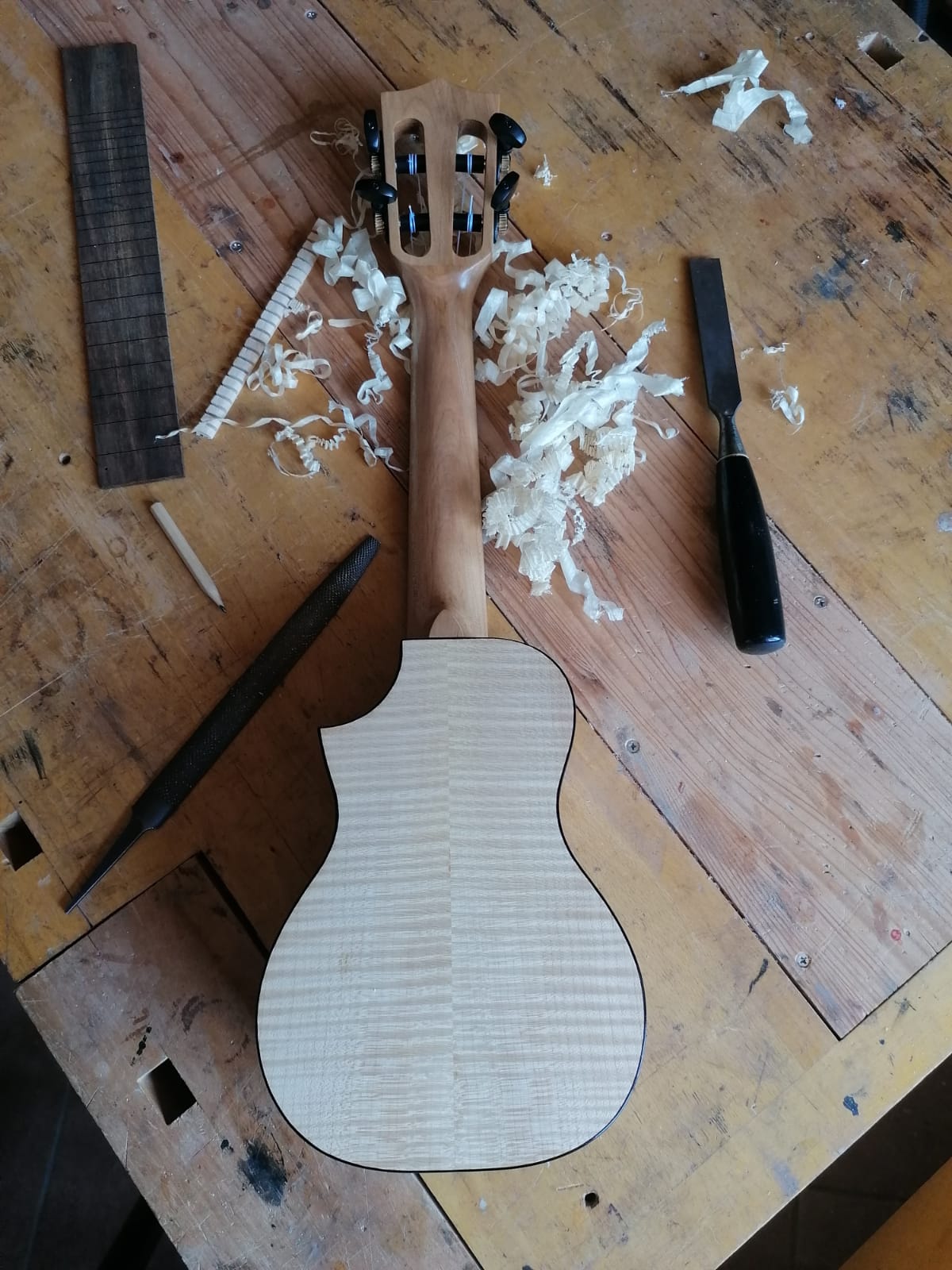 Draco-Concert-Uke-vista-posteriore