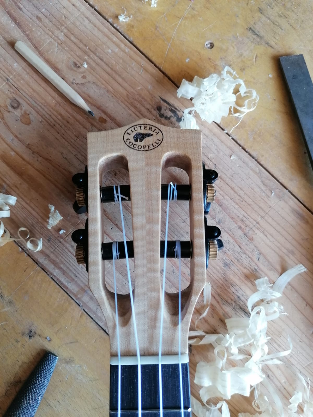 Draco-Concert-Uke-head