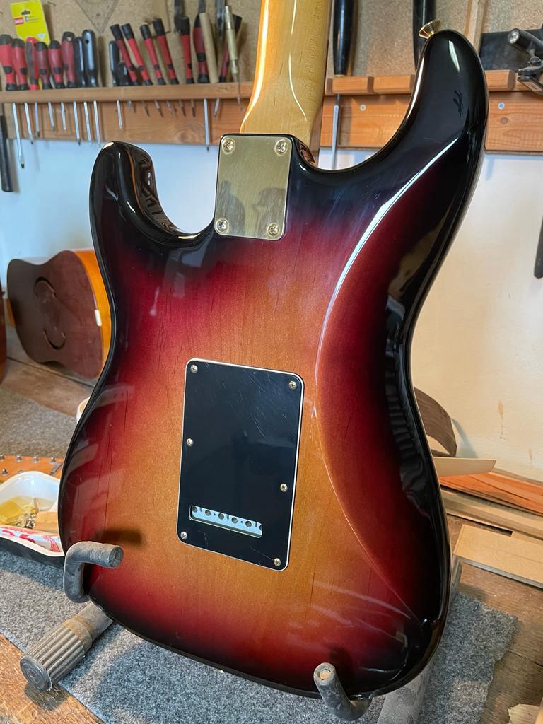 fender-stratocasterd-srv-2007-body-back-view